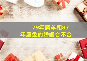 79年属羊和87年属兔的婚姻合不合