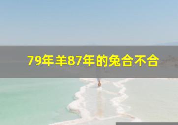 79年羊87年的兔合不合