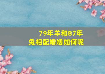 79年羊和87年兔相配婚姻如何呢