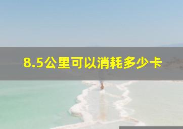 8.5公里可以消耗多少卡