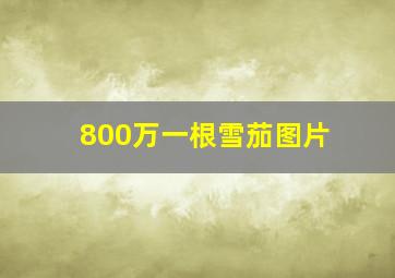 800万一根雪茄图片