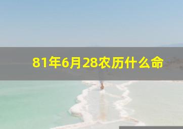 81年6月28农历什么命