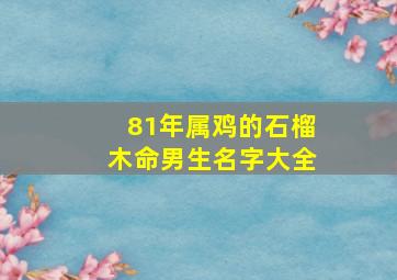 81年属鸡的石榴木命男生名字大全