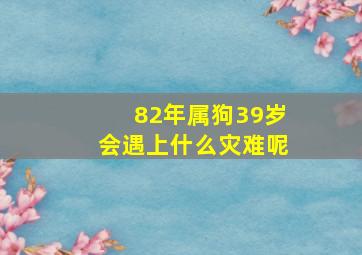 82年属狗39岁会遇上什么灾难呢