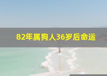 82年属狗人36岁后命运