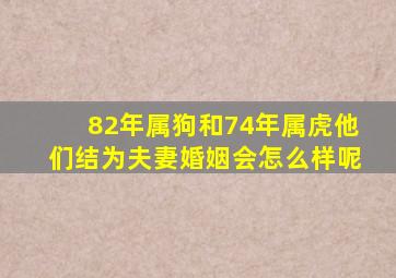 82年属狗和74年属虎他们结为夫妻婚姻会怎么样呢