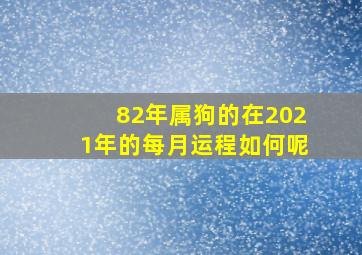 82年属狗的在2021年的每月运程如何呢