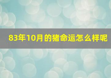 83年10月的猪命运怎么样呢