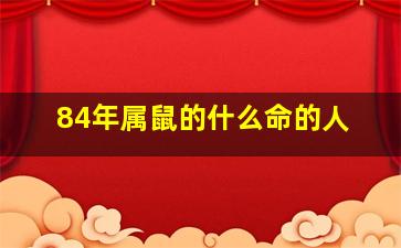 84年属鼠的什么命的人