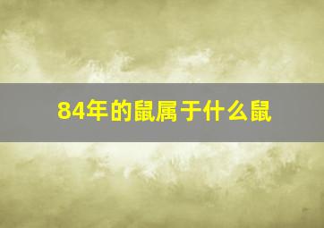 84年的鼠属于什么鼠