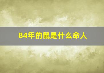 84年的鼠是什么命人