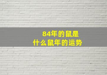 84年的鼠是什么鼠年的运势