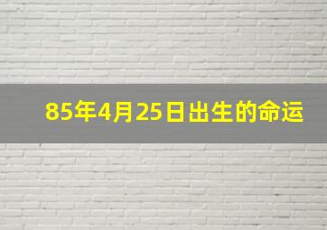 85年4月25日出生的命运