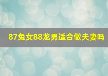 87兔女88龙男适合做夫妻吗