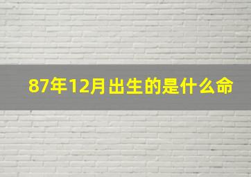 87年12月出生的是什么命