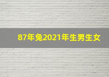 87年兔2021年生男生女