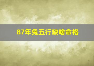 87年兔五行缺啥命格