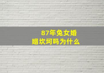 87年兔女婚姻坎坷吗为什么