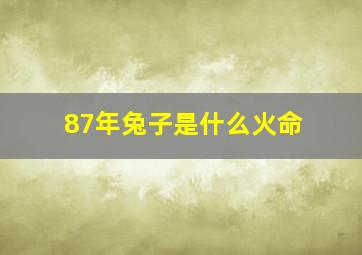 87年兔子是什么火命