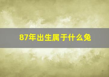 87年出生属于什么兔