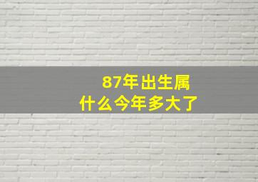 87年出生属什么今年多大了