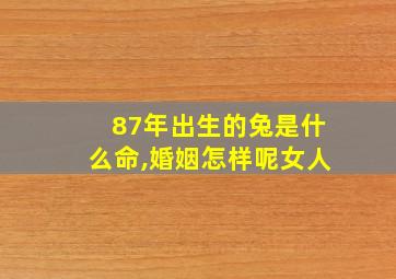 87年出生的兔是什么命,婚姻怎样呢女人