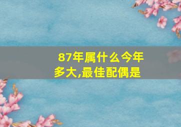 87年属什么今年多大,最佳配偶是