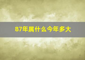 87年属什么今年多大