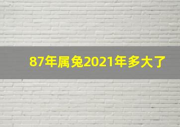 87年属兔2021年多大了