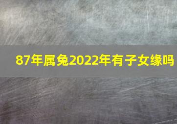 87年属兔2022年有子女缘吗