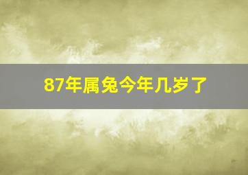 87年属兔今年几岁了