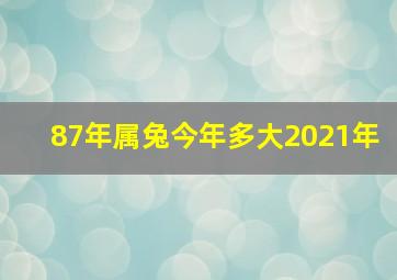 87年属兔今年多大2021年