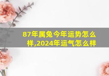 87年属兔今年运势怎么样,2024年运气怎么样