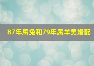 87年属兔和79年属羊男婚配