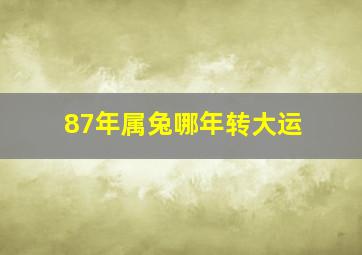 87年属兔哪年转大运