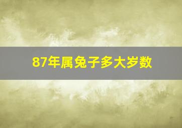 87年属兔子多大岁数