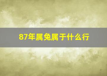 87年属兔属于什么行