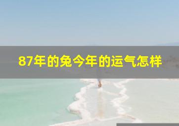 87年的兔今年的运气怎样