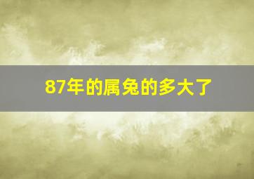 87年的属兔的多大了