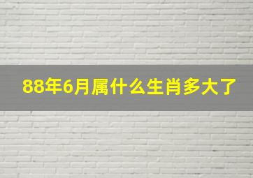 88年6月属什么生肖多大了