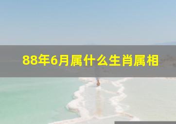 88年6月属什么生肖属相