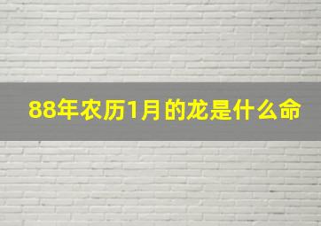 88年农历1月的龙是什么命