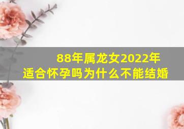 88年属龙女2022年适合怀孕吗为什么不能结婚