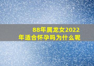 88年属龙女2022年适合怀孕吗为什么呢