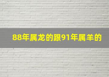 88年属龙的跟91年属羊的