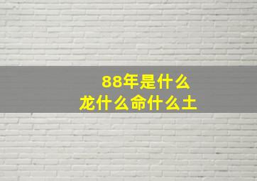 88年是什么龙什么命什么土