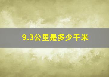 9.3公里是多少千米