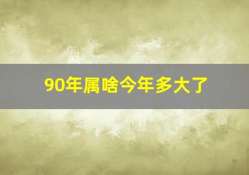 90年属啥今年多大了