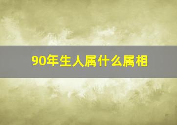 90年生人属什么属相