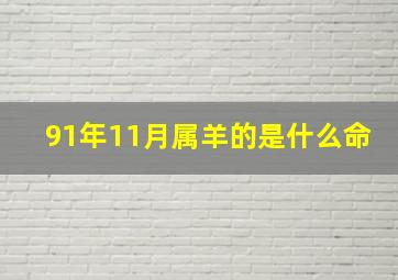 91年11月属羊的是什么命